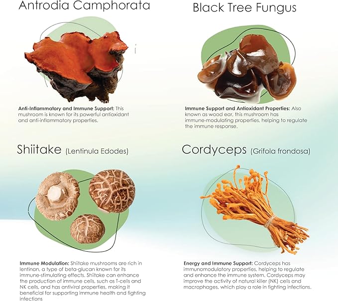 Mycogen Immune Support for Dogs – Beta Glucan, Reishi, Shiitake & Maitake Mushroom Blend – Helps Boost Immunity & Defend Against Illness – Vet-Formulated – 60 Tasty Liver-Flavored Soft Chews