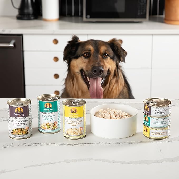 Weruva Classic Dog Food, Paw Lickin’ Chicken with Chicken Breast in Gravy, 5.5oz Can (Pack of 24)