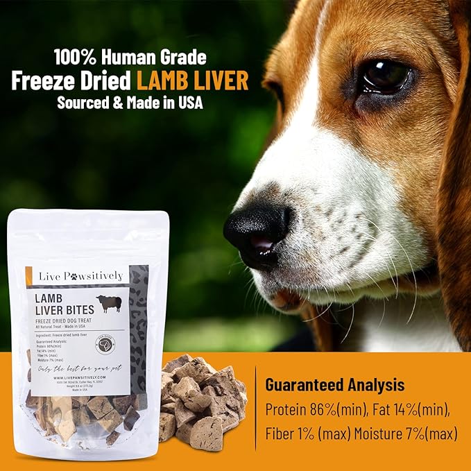 All-Natural Treat for Dogs & Cats, Single Ingredient, Picky Eaters, Grain & Gluten Free, Freeze Dried Lamb Liver, No Preservatives, Made in USA