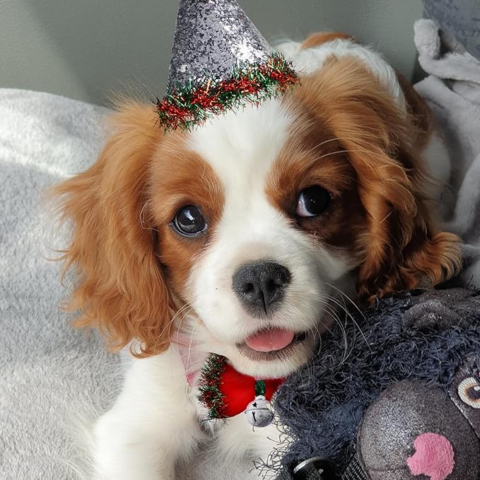 Christmas Pet Hat and Bow Tie Set with Bell, 2pcs Christmas Dog and Cat Costume Accessories for Holiday Dress-up, Soft Fabric Pet Supplies for Cats and Small Dogs