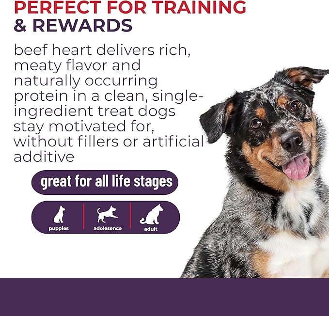 Momentum Carnivore Nutrition Freeze-Dried Beef Heart Dog Treats & Cat Treats – Single-Ingredient, High-Protein, Grain-Free – Made in USA – 3 oz Bag