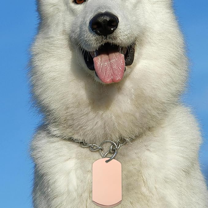 BESTonZON 10pcs Rose Gold Metal Dog Id Tags Blank Engravable Pet Charms Round Stamping Tags for Puppy Collar Accessories DIY Jewelry Supplies