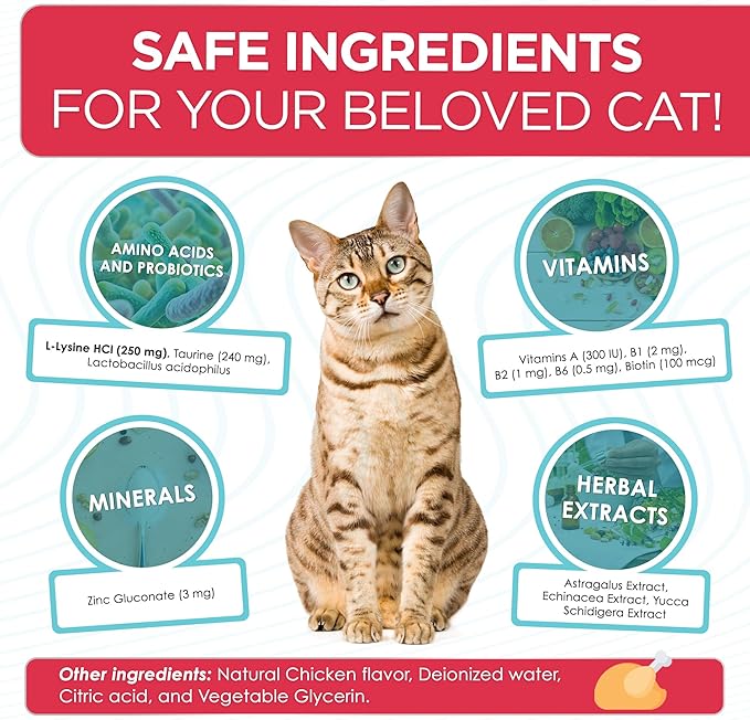 L Lysine for Cats Helps with Watery Eyes, Sneezing, Cough, Allergy – Works as Natural Antibiotic for Cats – Feline Upper Respiratory Supplement with Vitamins, Probiotic and Chicken Flavor – 2 Oz
