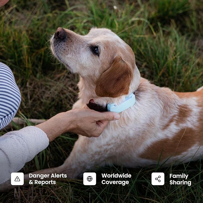 Tractive Smart Dog GPS Tracker | Live Pet Tracker with Virtual Fence | Vital Signs Monitoring of Heart & Respiratory Rate | Bark Monitoring | Dog Collar Attachment (Bundle of 2, Black & Brown)