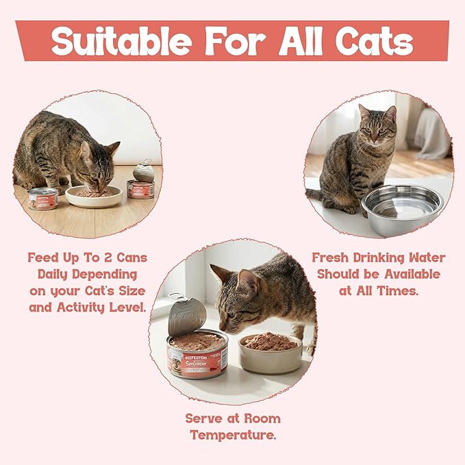 Beefeaters Salmon Pate Wet Cat Food 3oz (24-Pack) | Adult Wet Food with Taurine, Premium Catfood Wet Food, No Artificial Additives, Balanced Nutrition | Supports Immune System & Vision