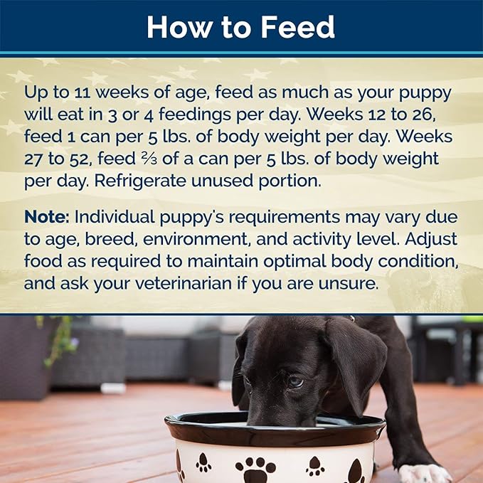 Blue Buffalo Freedom Grain Free Natural Puppy Wet Dog Food, Chicken 12.5oz cans (Pack of 12)
