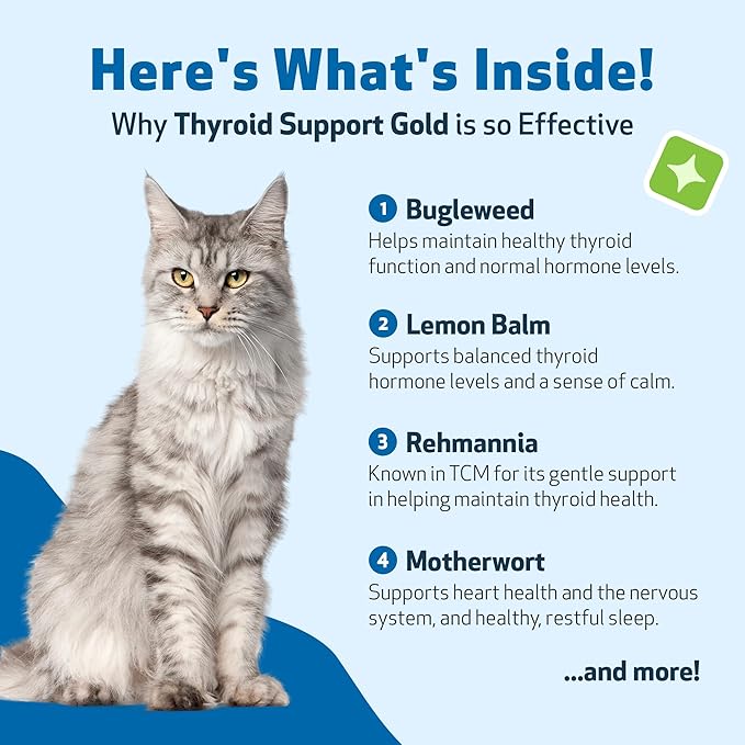 Pet Wellbeing Thyroid Support Gold for Cats - Holistic Thyroid Balance with Bugleweed & Lemon Balm, Feline Metabolic Health Supplement - NASC Certified & Vet-Formulated - 2 oz Liquid Formula