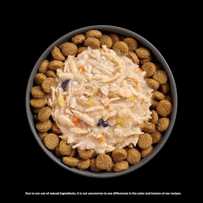 Go! Solutions Booster Immune Health Shredded Chicken + Salmon in Broth Gravy Topper for Dry Food, Real Meat Wet Dog Treat for Healthy Immunity in Puppies, Adults, & Seniors, 2.8 oz Pouch (12 Pack)