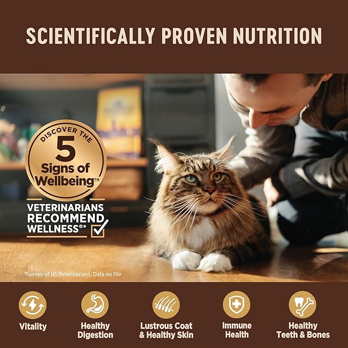 Wellness CORE Pate Adult Wet Cat Food, Natural, Protein-Rich, Grain Free, 3 Ounce, 12 Pack (Whitefish, Salmon & Herring)