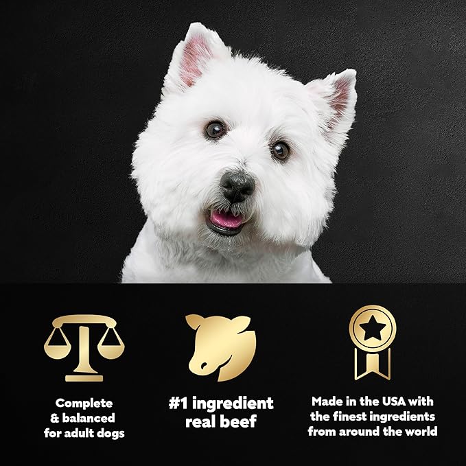 Cesar Adult Soft Wet Dog Food Filets in Gravy, New York Strip Flavor, 3.5 oz. Tray (Pack of 4)