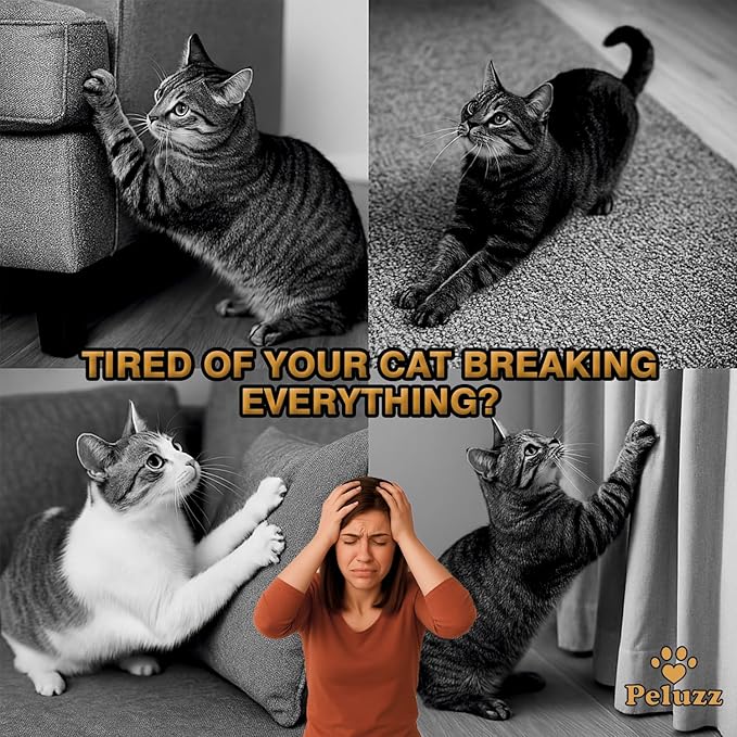 Kitty Curls Cat Scratcher, Magnetic Shape-Shifting Reversible Eco-Friendly Cardboard Ring, Collapsible Ball Track + Bell Ball, Catnip Included & Bonus Toy – Helps Protect Furniture for Cats & Kittens
