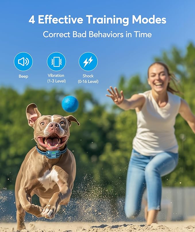 Jugbow Dog Shock Collar - 4200FT Dog Training Collars with Remote, IPX8 Waterproof E-Collar with 4 Training Modes, Security Lock, Rechargeable ShockCollar for Dogs 5-120lbs