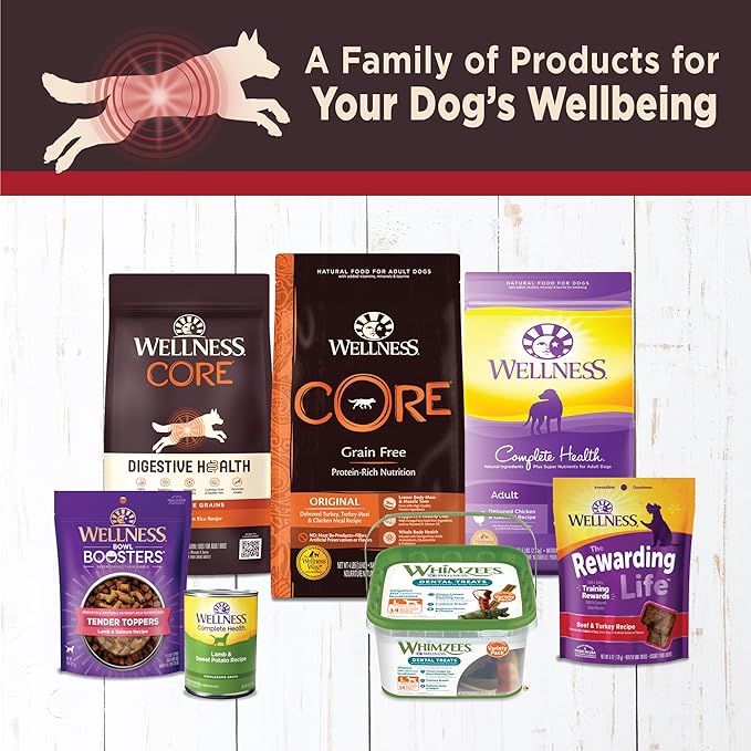 Wellness CORE Digestive Health Beef Grain Free Wet Dog Food, 13 Ounce Can (Pack of 12)