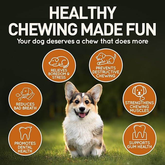 Wildfang® Olive Wood Chewing Sticks for Dogs, Small - Tough Chew Toys for Aggressive Chewers, Puppy Chew Toys for Teething, Training for Chewing Muscles, Olive Wood Stick for Dog (Under 33lbs), 3pack