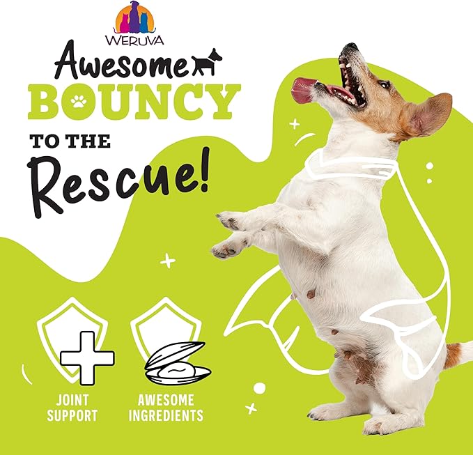 Weruva Awesome Bouncy Wet Dog Food, Magnificent Mobility Variety Pack, 6oz Can (Pack of 9)