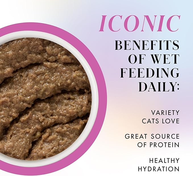Weruva Paris Hilton Pamper Like Paris Natural Grain Free Wet Cat Food, Chicken and Beef Paté, 2.47oz Can (Pack of 12)