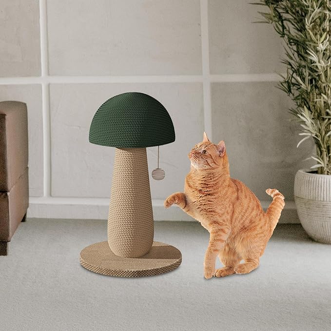 ing Posts, Cat Climbing Pole with Interactive Ball Toy, Grind Claw Cat Supplies Toy Cat Toy Sisal Rope Scratch Post, Mushroom, Green