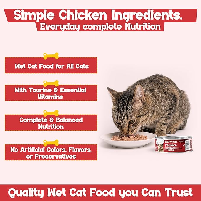 Beefeaters Chicken Chunk in Gravy Wet Cat Food 3oz (24-Pack) | Adult Wet Food with Taurine, Premium Catfood Wet Food, No Artificial Additives, Balanced Nutrition | Supports Immune System & Vision