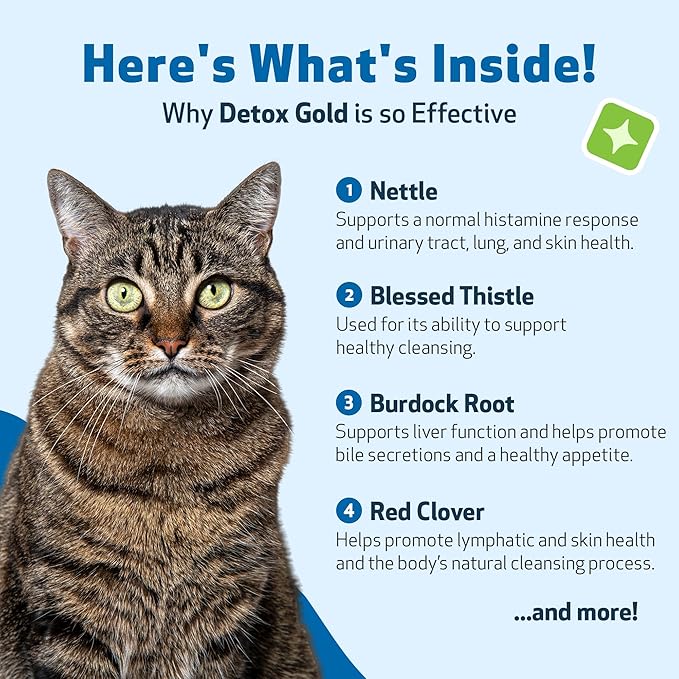 Pet Wellbeing Detox Gold for Cats - Supports Natural Vitality & Maintains Overall Wellness with Nettle, Blessed Thistle, Burdock Root - Veterinarian-Formulated Herbal Supplement 2 oz (59 ml)