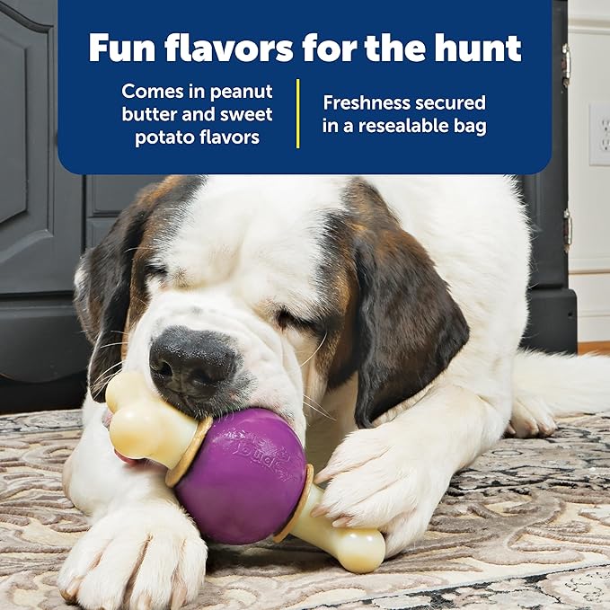 PetSafe Busy Buddy Natural Rawhide Rings - Long-Lasting Dog Chew Refills - Engaging Dog Treat for Training & Playtime - Original Rawhide Flavor - Size C,(Pack of 32)