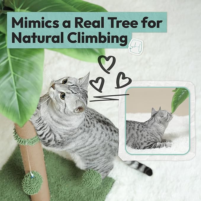 Cat Scratching Post, 34'' Tall Cat Scratchers for Indoor Cats with Hanging Balls, Tall Cute Sisal Kitten Scratch Post with Reinforced Stable Base, Green, Medium