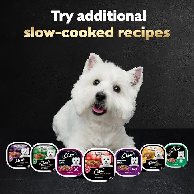Cesar Loaf & Topper in Sauce Wet Dog Food, Bacon Feast Variety Pack, Rotisserie Chicken Flavor with Bacon & Cheese & Angus Beef Flavor, Wet Food for Dogs, 3.5 oz Easy Peel Trays, 12 Count (Pack of 2)