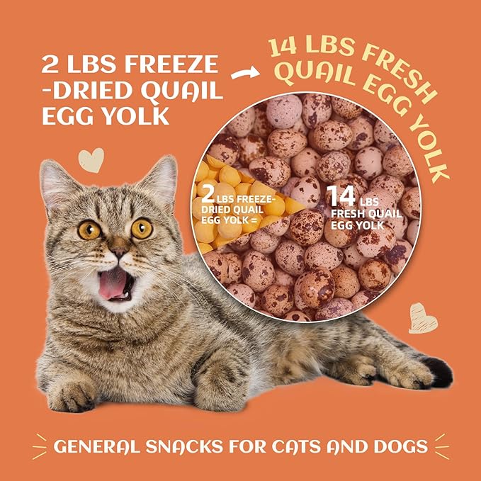 Freeze Dried Quail Egg Yolk Dog Cat Treats 3 oz - Single Ingredient, Grain Free, Gluten Free & Rawhide Free,Healthy Tasty Snacks for Training Rewards