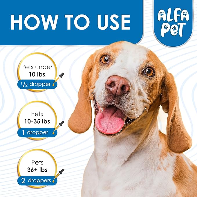 Kennel Cough Medicine for Dogs & Cats – Natural Supplement for Dog Allergy Relief – Cat Cold Medicine for Respiratory Support – Congestion and Sneezing Relief for All Pet Breeds – 2 Oz