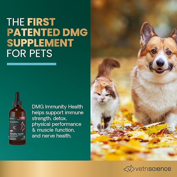 VetriScience Immunity Health Easy-Dose Liquid, Vetri DMG Immune Support Supplement for Dogs and Cats, Hypoallergenic, Support Performance, Stamina, Immune Response, DMG (Dimethylglycine), 114 ml