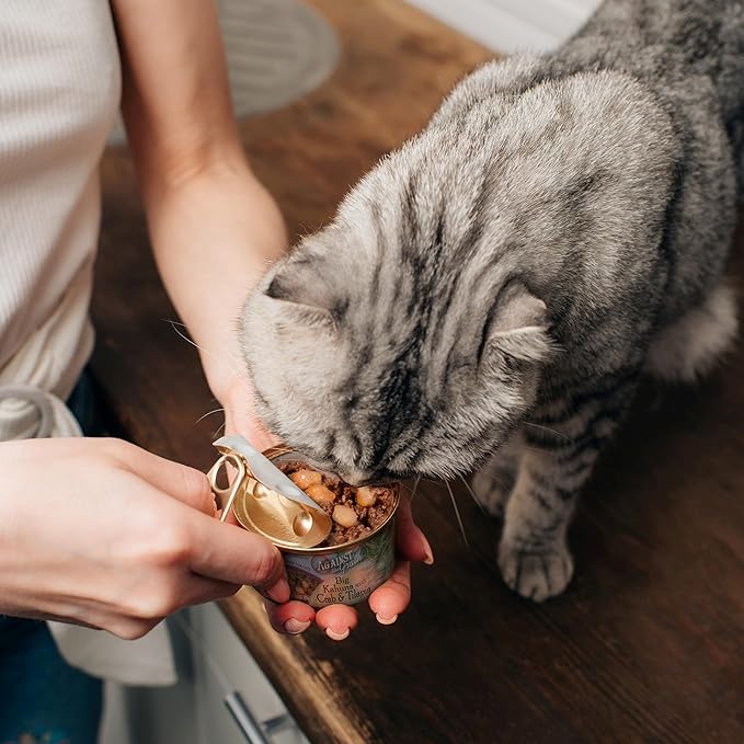 Evanger's Heritage Classics Beef It Up Dinner for Cats – 24 Count, 5.5 oz Each – Market Fresh Beef, Grain Free, Limited Ingredients, Traditional Loaf Style