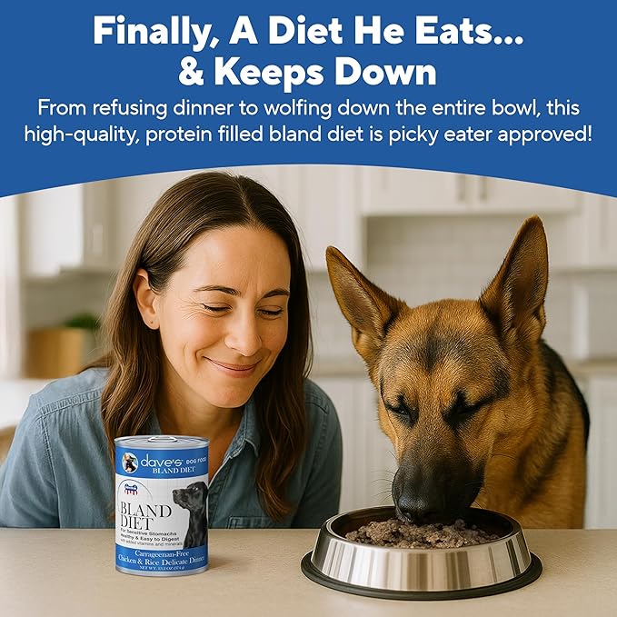 Dave's Pet Food Bland Diet Dog Food (Chicken & Rice), Sensitive Stomach, Easy to Digest, Gluten-Free, Digestive Care, Wet Canned, 13.2 oz (Case of 12)