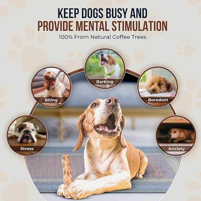 Coffee Wood Dog Chew and Natural Cotton Rope Toy for Regular Chewers - 100% Organic Wood Stick for Dog - Teeth Cleaning - Size L