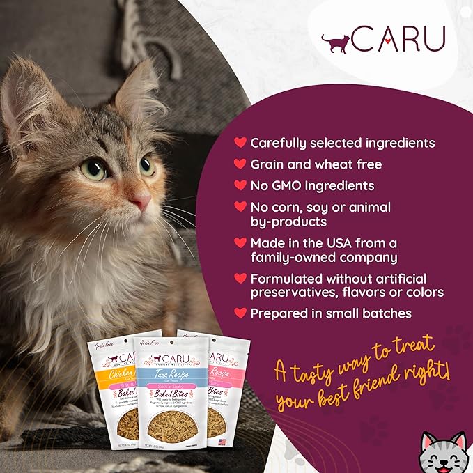 Caru - Soft ‘n Tasty Baked Chicken Bites - Natural Treats for Cats - Supports Muscle & Heart Health - Packed With Protein - Traceable Ingredients - Flavorful - Non-GMO - Made in USA - 3 oz - 1 Pack