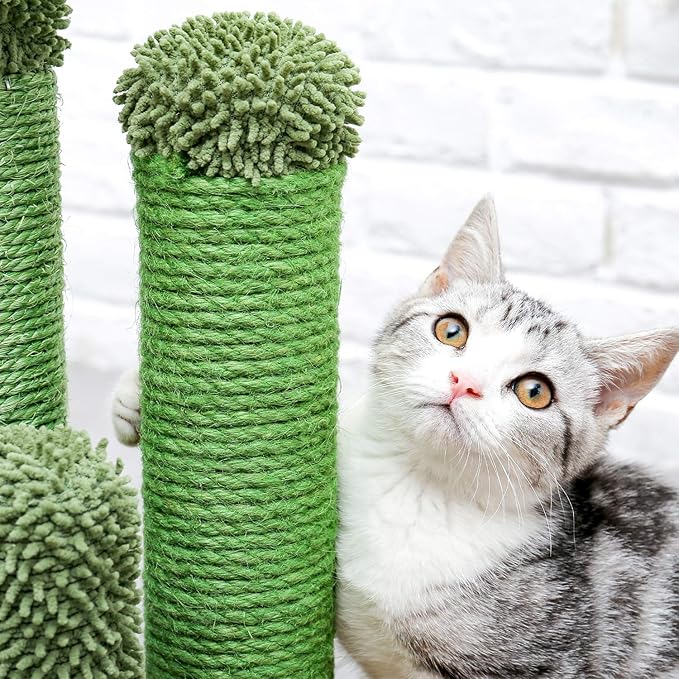 Cat Scratching Post Cactus Cat Scratching Board with 3 Scratching Poles and Interactive Hanging Ball for Small Cats