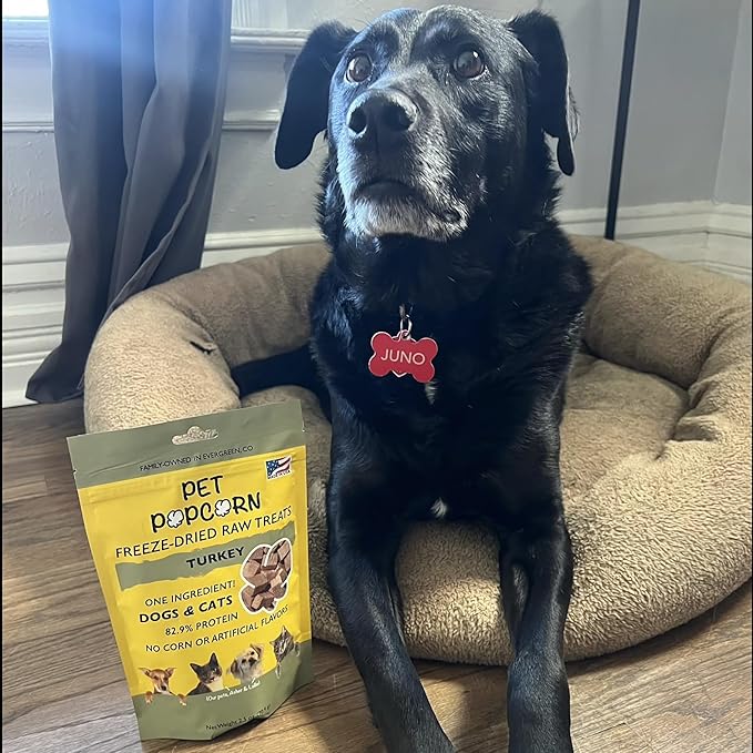 Freeze-Dried Raw Treats - Turkey Breast - 2.5oz Bag, Dog & Cat Snacks, Single Ingredient, Natural, Pet Food Topper, Protein‑Packed Meat (Pack of 2)