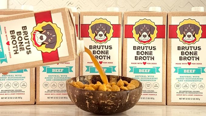 Brutus Bone Broth for Dogs (Beef, 2-Pack) On The Go Instant Bone Broth (Beef, 5-Pack)