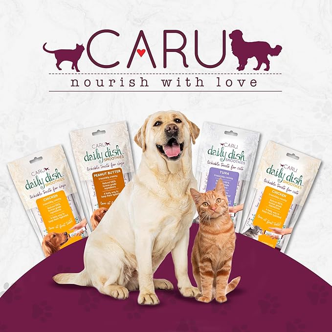 Caru - Daily Dish Smoothies - Lickable Chicken Dog Treat - .5oz Tubes - 4 Pouches Per Pack - Pack of 12