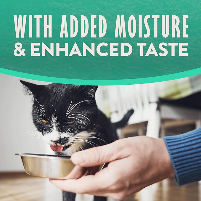 Natural Balance Limited Ingredient Split Cup Chicken & Sweet Potato Soft Pate Wet Cat Food Recipe for Sensitive Stomachs and for Healthy Digestion, 2.6 oz. (Pack of 10)