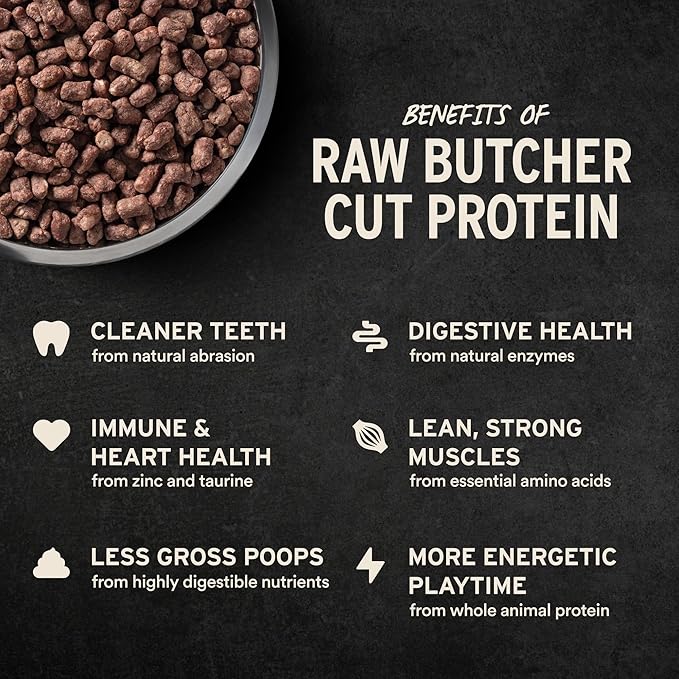 Vital Essentials Freeze Dried Dog Food, Raw Beef Crunchy Mini Nibs | Complete Meal or Topper | 96% Beef, Organs & Bone | Limited Ingredient, High Protein, Grain Free Dry Dog Food | 14 oz Bag