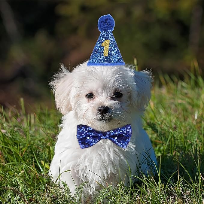 Pet Birthday Party Hat and Bow Tie Set with Blue Furry Hat and Number Decoration Accessories for Puppy Celebration and Pet Party Supplies