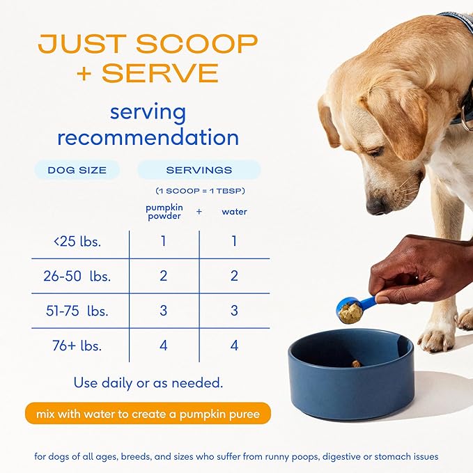 Native Pet Beef Bone Broth for Dogs (9.5 oz) & Organic Pumpkin for Dogs (16 oz.) - Food Topper for Picky Eaters and All-Natural, Organic Fiber Pumpkin Powder