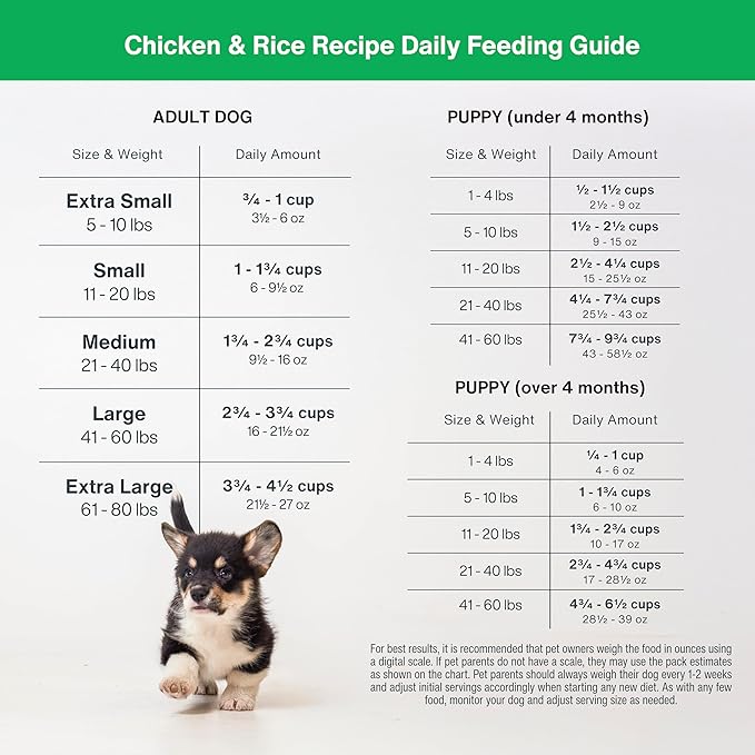 JustFoodForDogs DIY Nutrient Blend for Homemade Dog Food, Chicken & White Rice, (Pack of 2)