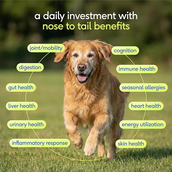 Native Pet Senior Daily Dog Vitamins & Supplements – 12-in-1 Dog Multivitamin Powder for Senior Dogs – Supports Mobility, Cognition, Digestion, Immune Health & More – 60 Scoops
