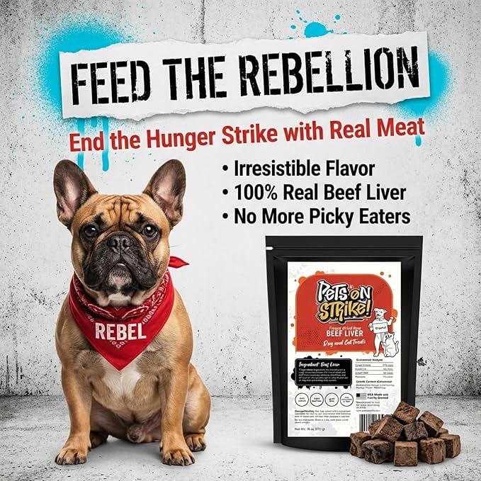 Freeze Dried Beef Liver for Dogs & Cats – Single Ingredient Dog Treats – USA Sourced & Made – High Protein, All Natural, Grain Free – Raw Freeze-Dried Training Treats (3oz)