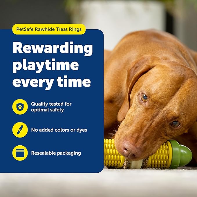 PetSafe Busy Buddy Natural Rawhide Rings - Long-Lasting Dog Chew Refills - Engaging Dog Treat for Training & Playtime - Original Rawhide Flavor - Size C,(Pack of 32)