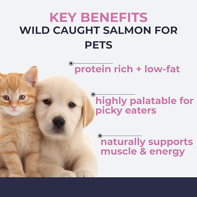 Momentum Carnivore Nutrition Freeze-Dried Wild-Caught Salmon Pet Food Topper – Single-Ingredient, All-Natural Topper – High-Protein for Dogs and Cats, Grain-Free and Made in The USA– (3.75 oz Bag)