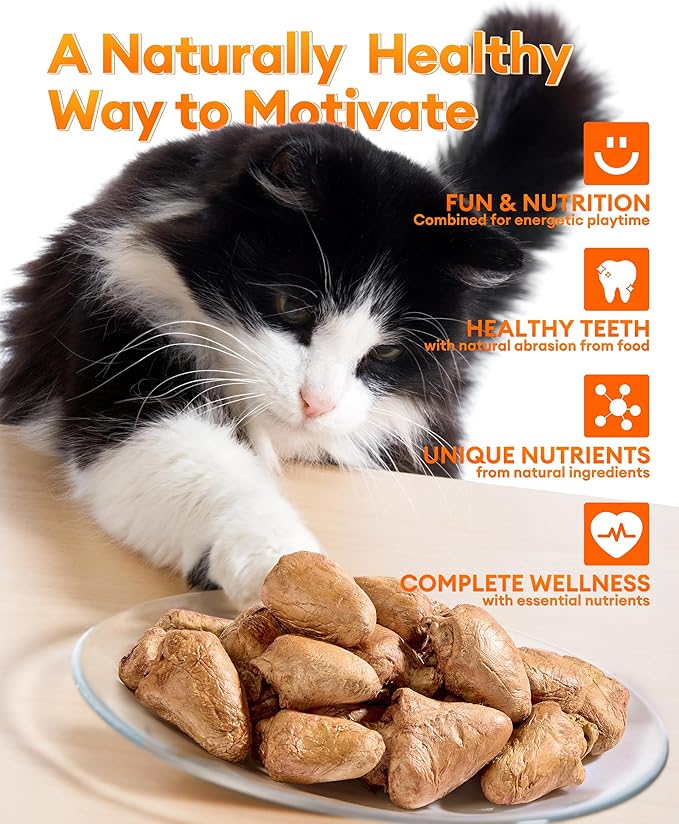Freeze-Dried Chicken Hearts Cat & Dog Treats, 17.63 oz (1.1LB) — High Protein, Single Ingredient, Grain Free, No Additives or Preservatives, Sealed Box