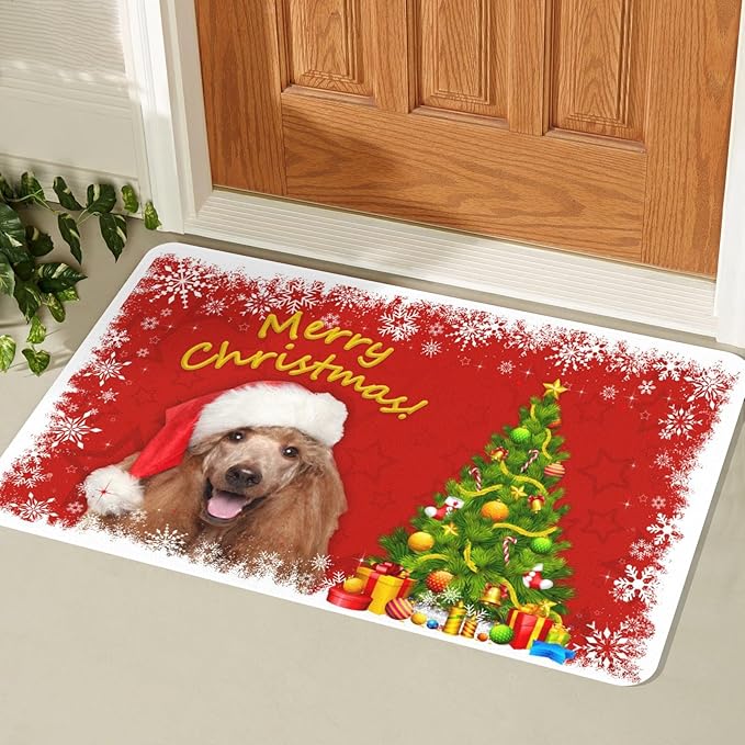 Personalized Christmas Dog Door Mats - Custom Winter Pet Cat Doormat with Photo - Rubber Door Mats, for Pet Lover