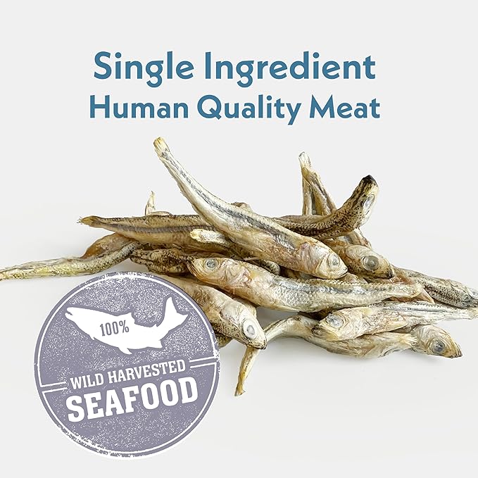 Fresh Is Best Silverside Minnows, and Chicken Hearts Freeze Dried Dog Treats Bundle – High-Protein Minnows for Cats and Dogs – Resealable Zipper Bag Dog Training Treats – Made in USA