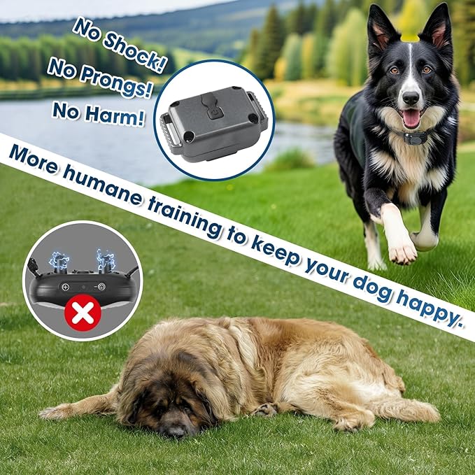 Small No Shock Dog Training Collar for Small Dogs 5-15lbs, Strong Vibrating Dog Collar Beep and Vibrate Only, Safe Lock Waterproof Rechargeable Vibration Collars for Dogs-No Prongs,Grey